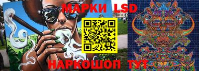 шишки Славгород