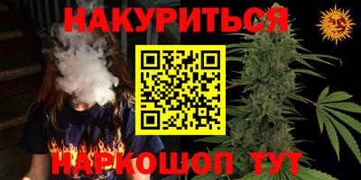 гашик Сланцы