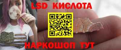 шишки Славгород