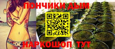 гашик Сланцы