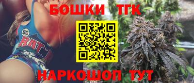 гашик Сланцы