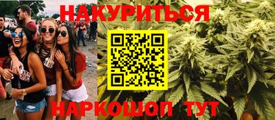 шишки Славгород
