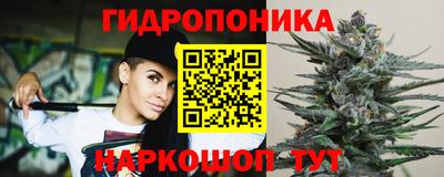 гашик Сланцы
