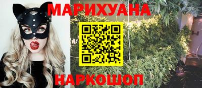 шишки Славгород