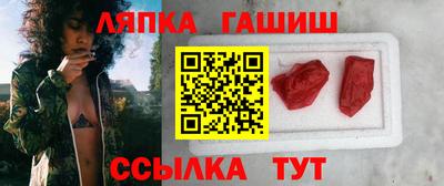 шишки Славгород