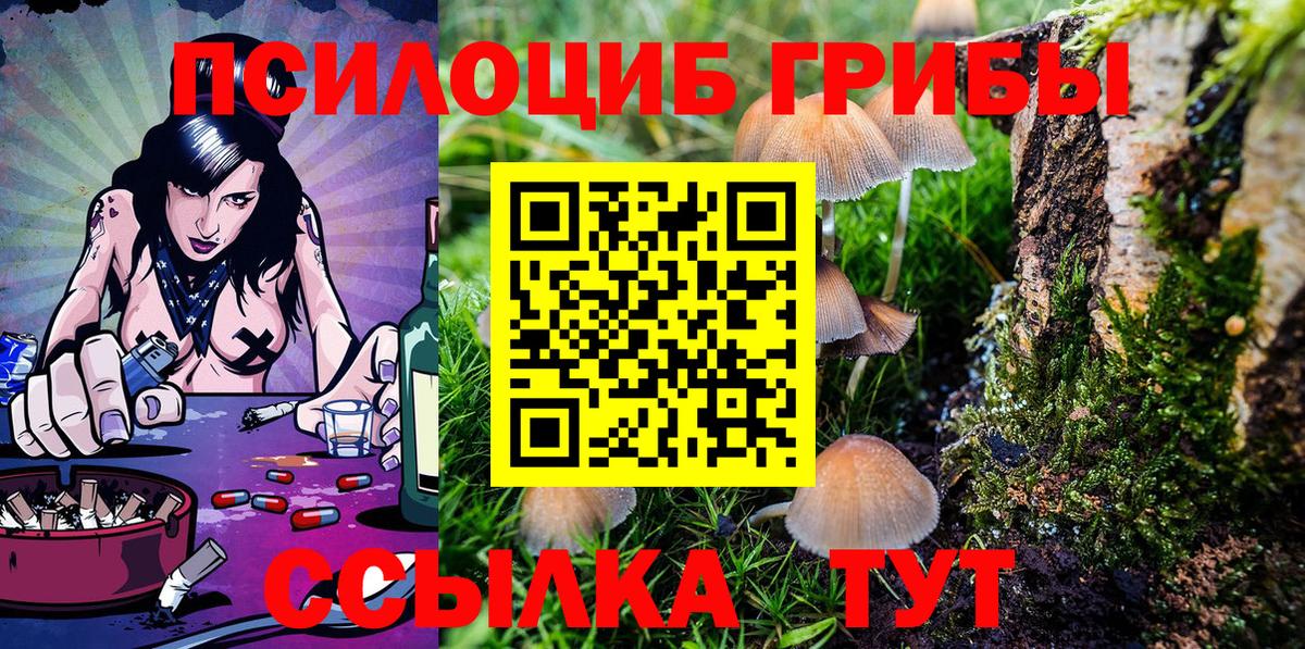 Прохладный  Галлюциногенные грибы Cubensis  Вход с VPN 